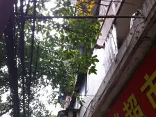 双碑 半山豪苑二房