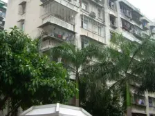 富贵门花园 4室2厅 东南 南 北