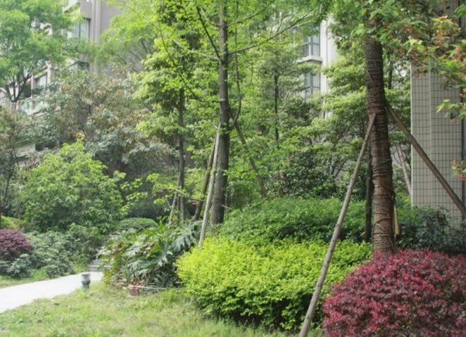 小区相关图