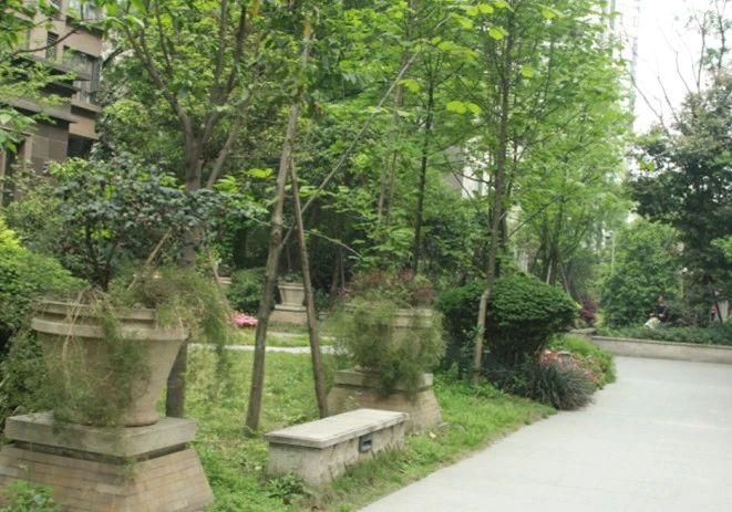 小区相关图