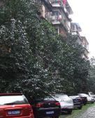 青华北二街6号3室2厅西南