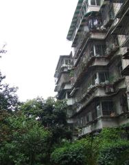 青华北二街6号 3室1厅 东南