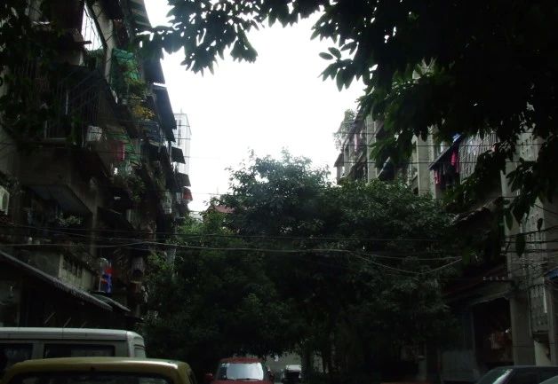 小区相关图