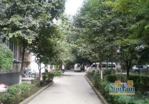 双顺路60号2室1厅西北