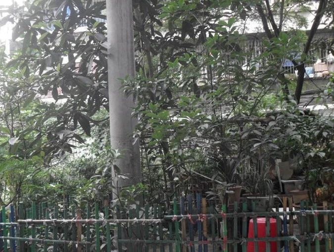 小区相关图