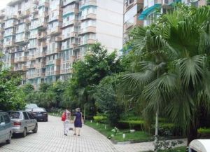 天邑花园 3室1厅 东南