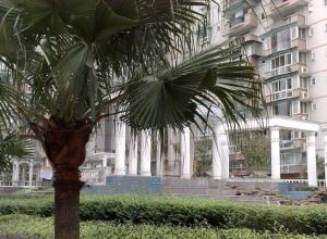 天邑花园 2室1厅 南