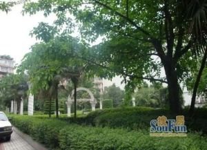 天邑花园 2室2厅 西