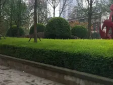 顶跃+屋顶花园+看公园+南北通+有电梯通车库+证在手