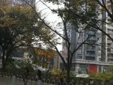 大石坝 元佳广场一房40万