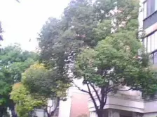 世博,地铁口电梯两房,满五年,清流