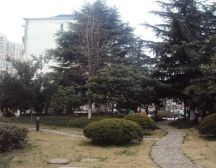 全明三房,采光充足视野开阔,诚心出售,价格能谈