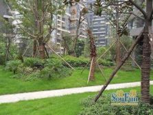 华润凤凰城一期 3室2厅 南