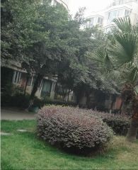 交大东园3室2厅南