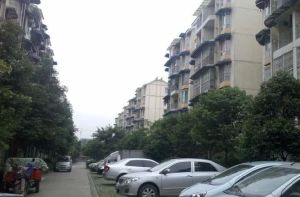 泉水人家 2室1厅 南