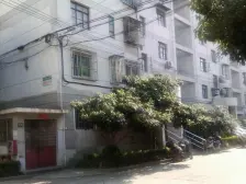 交通便利,主卧朝南,环境优美,居家装修