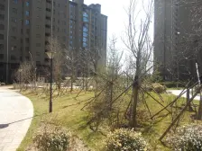 精装保持好,小区安静,空气清新,适合养老。