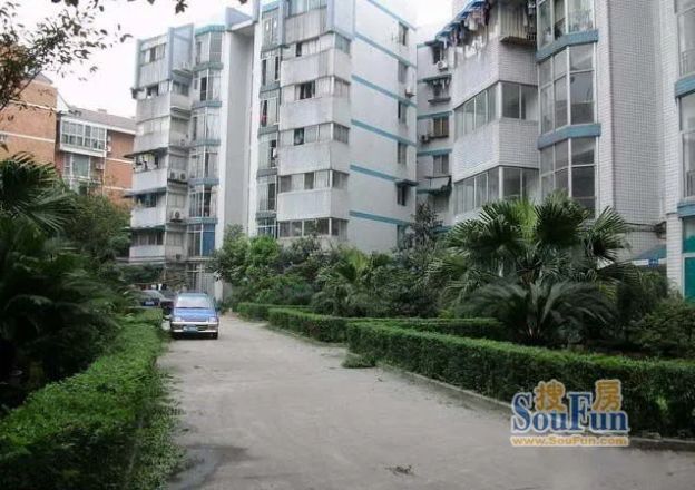 新柳苑实景图