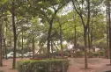 营通巷23号院实景图