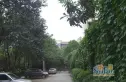 营通巷23号院实景图