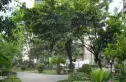 营通巷23号院实景图