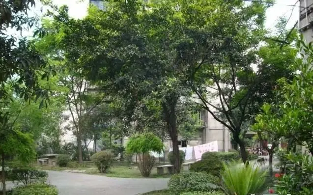 营通巷23号院实景图