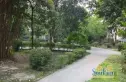 营通巷23号院实景图