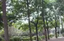 营通巷23号院实景图