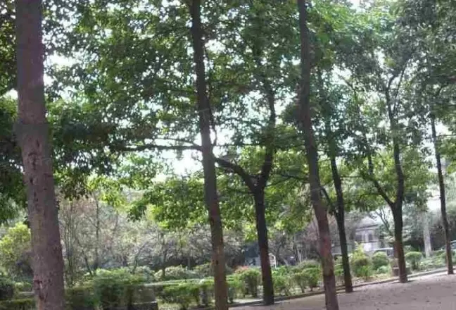 营通巷23号院实景图