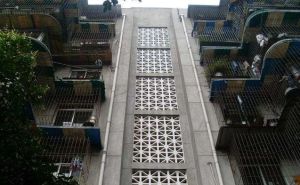 茶店子育苗路12号 3室1厅 东南