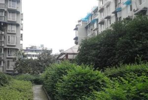 九里西苑C区2室1厅东南