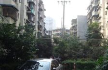 金沙路73号3室2厅东南