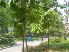 华光小区 楼层低 简单装修 两室 出售