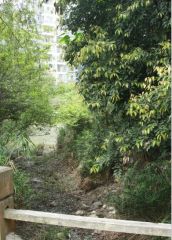 建信奥林匹克花园3室2厅东南南北