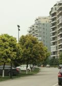 建信奥林匹克花园3室1厅西南