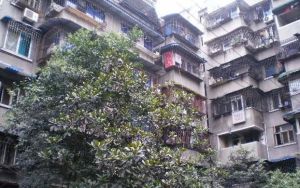 金琴路164号3室2厅西南