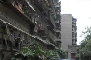 金琴路164号3室1厅西南