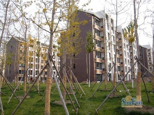 丰业国际城实景图