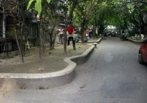 西体路2室1厅东南