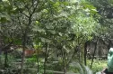 红花南路29号院实景图