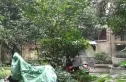 红花南路29号院实景图