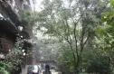 红花南路29号院实景图