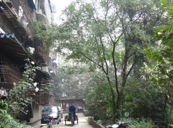 红花南路29号院实景图