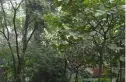 红花南路29号院实景图
