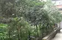 红花南路29号院实景图