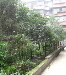 红花南路29号 1室1厅 南