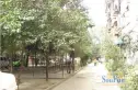 红花南路29号院实景图