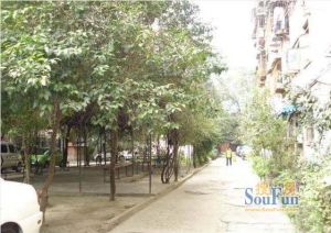 红花南路29号 3室1厅 南