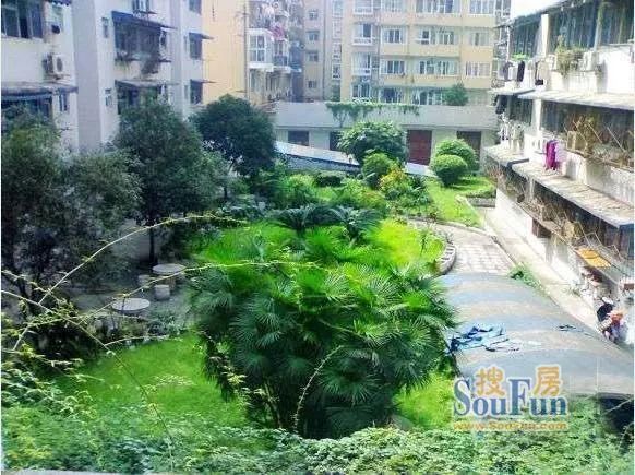 小区相关图
