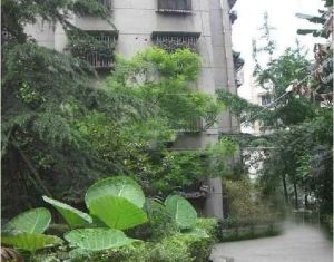 化成街10号2室1厅东南